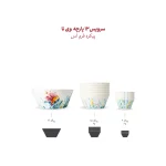 سرویس چینی زرین 6 نفره پیاله فرم اس وی نا (13 پارچه)